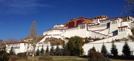西藏考试信息查询